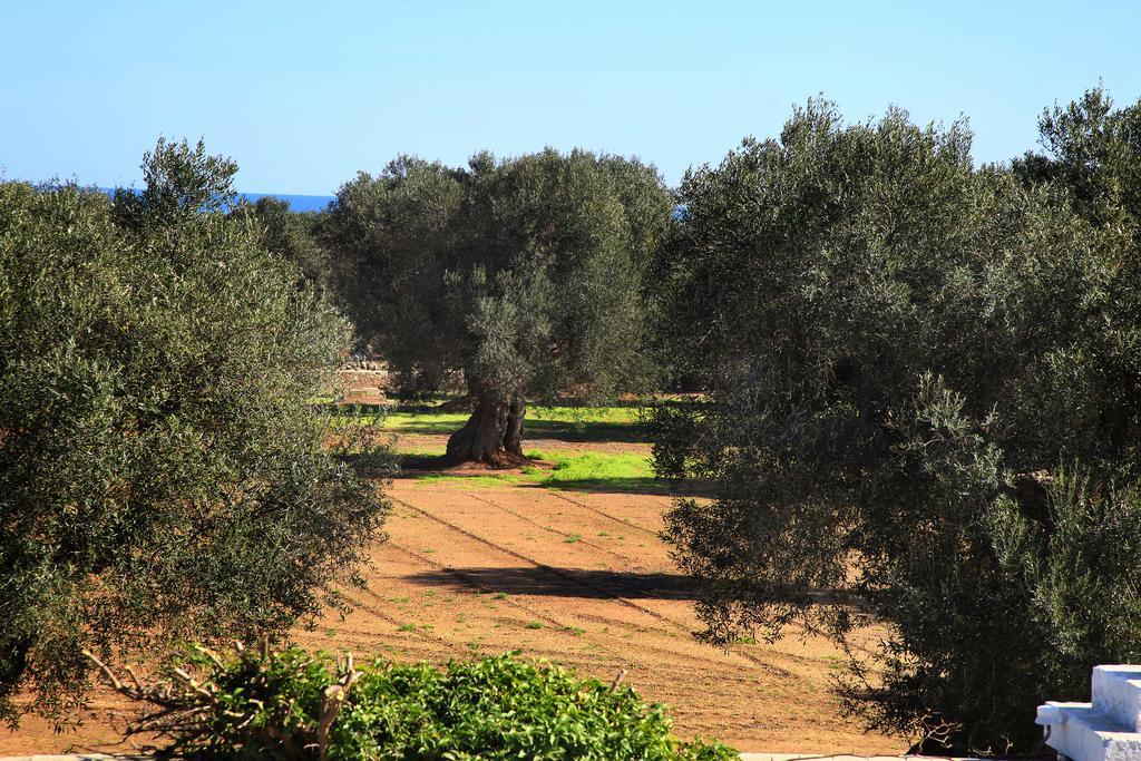 Masseria Pittore Savelletri ภายนอก รูปภาพ